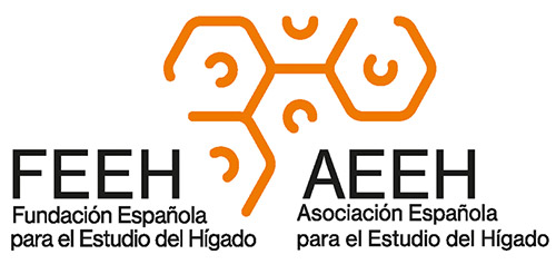 Logo Fundación AEEH